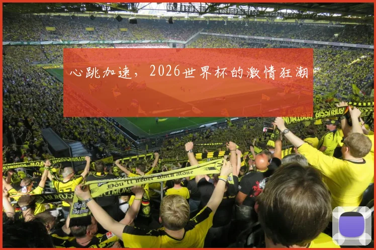心跳加速，2026世界杯的激情狂潮